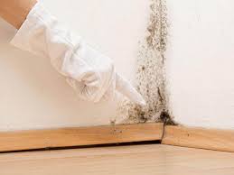 Mold Odor Removal Services in Rapid City, SD